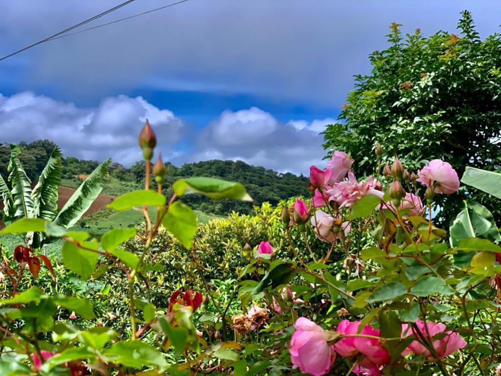Finca Neblina Del Bosque Estelí Zewnętrze zdjęcie