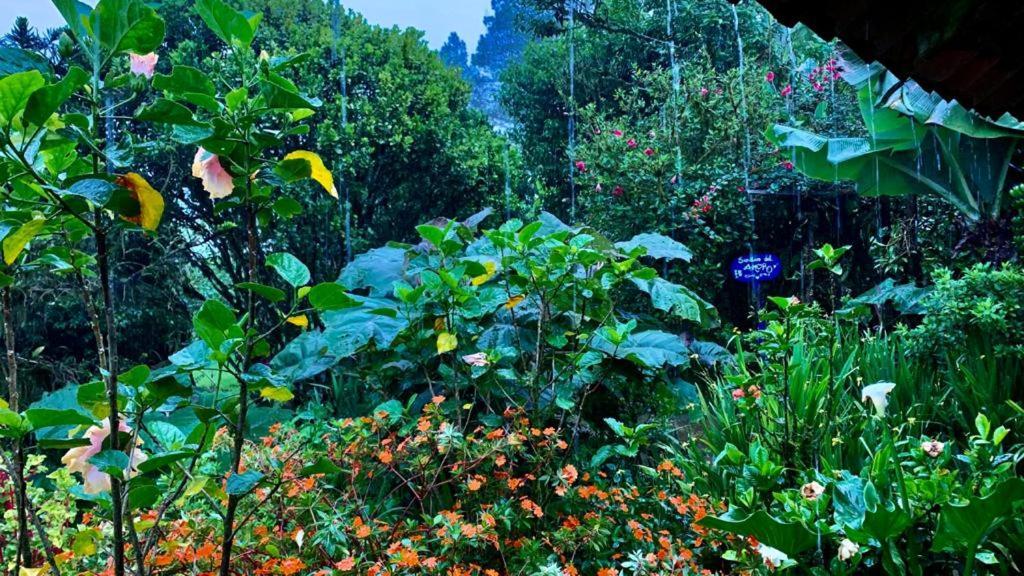 Finca Neblina Del Bosque Estelí Zewnętrze zdjęcie