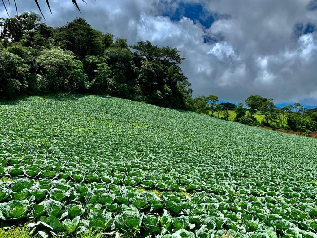 Finca Neblina Del Bosque Estelí Zewnętrze zdjęcie