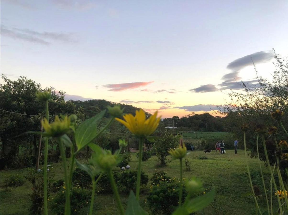 Finca Neblina Del Bosque Estelí Zewnętrze zdjęcie
