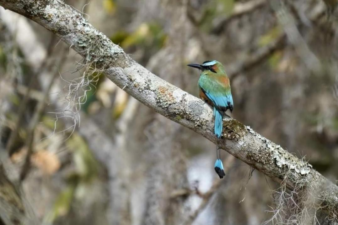 Finca Neblina Del Bosque Estelí Zewnętrze zdjęcie